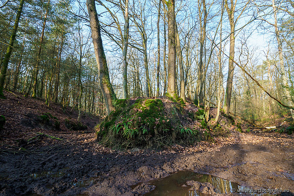 Middelste Heerdense beek 070220-072