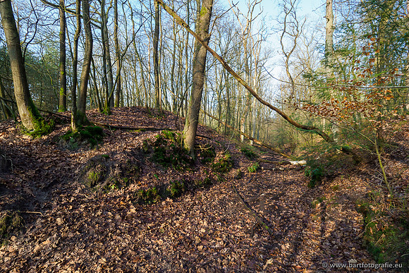 Middelste Heerdense beek 070220-073
