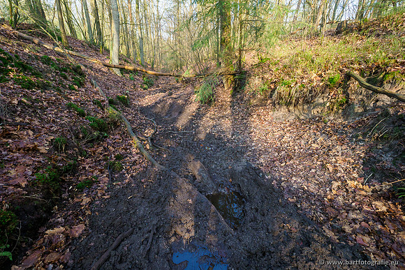 Middelste Heerdense beek 070220-074