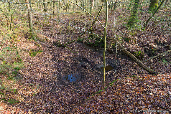Middelste Heerdense beek 070220-076