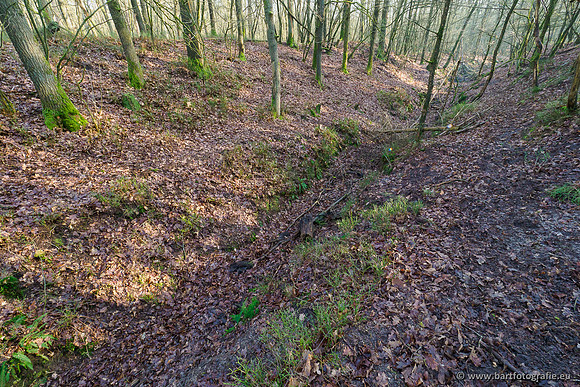 Middelste Heerdense beek 070220-080