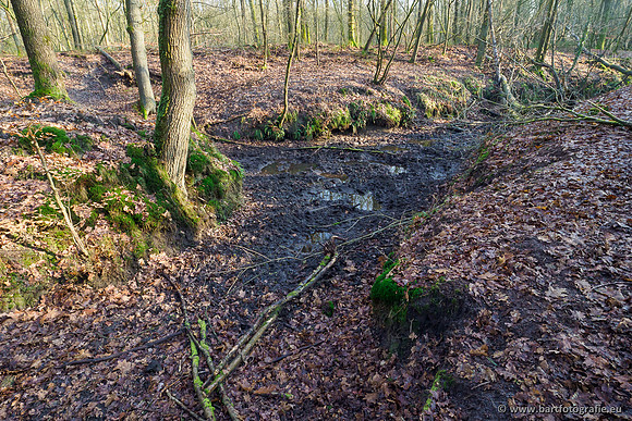 Middelste Heerdense beek 070220-082