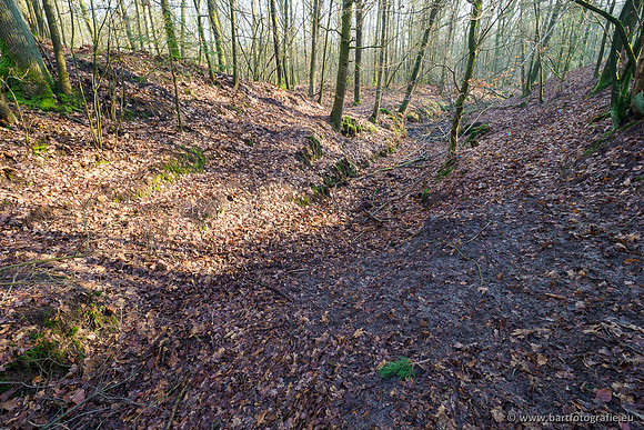 Middelste Heerdense beek 070220-081