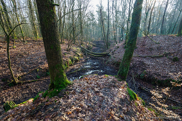 Middelste Heerdense beek 070220-083