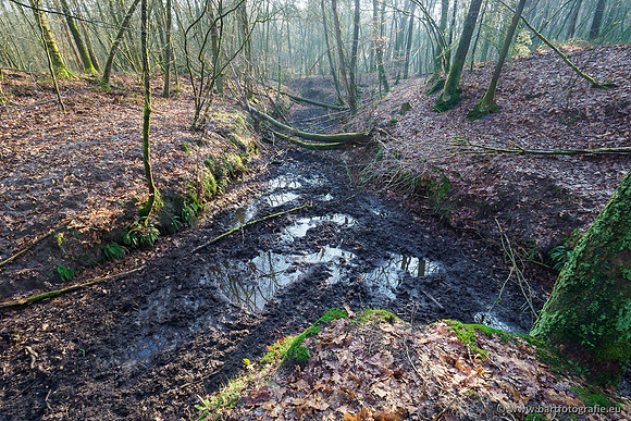 Middelste Heerdense beek 070220-084