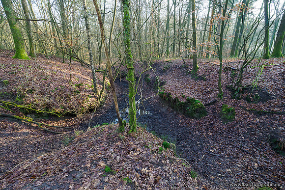 Middelste Heerdense beek 070220-085