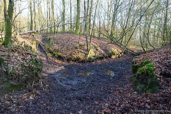 Middelste Heerdense beek 070220-087