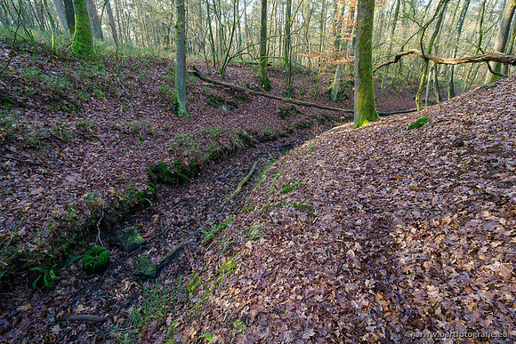 Middelste Heerdense beek 070220-088