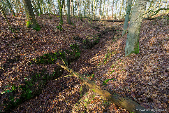 Middelste Heerdense beek 070220-094