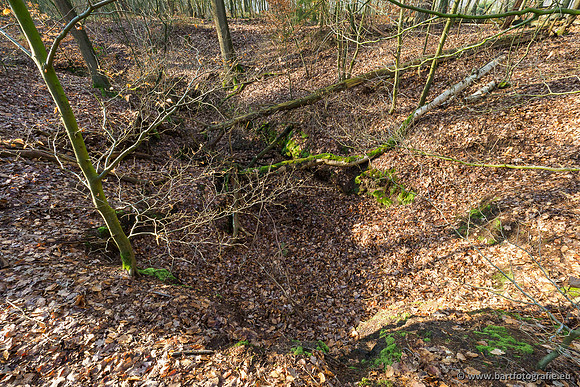 Middelste Heerdense beek 070220-095