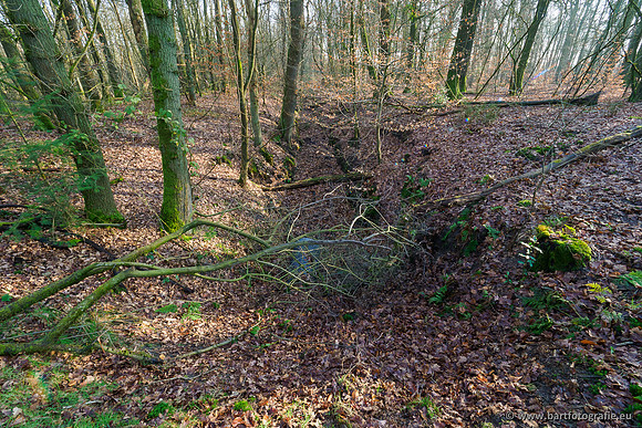 Middelste Heerdense beek 070220-098