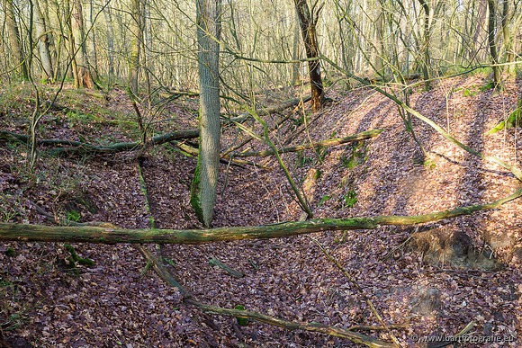 Middelste Heerdense beek 070220-106