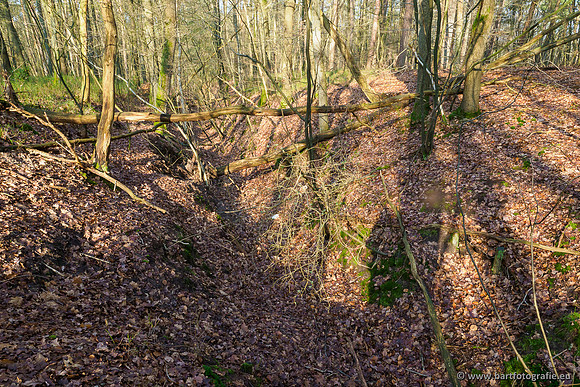 Middelste Heerdense beek 070220-107
