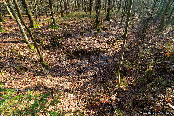 Middelste Heerdense beek 070220-108