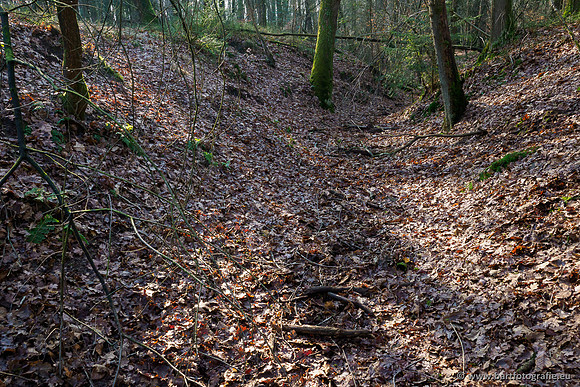 Middelste Heerdense beek 070220-111