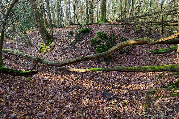 Middelste Heerdense beek 070220-112
