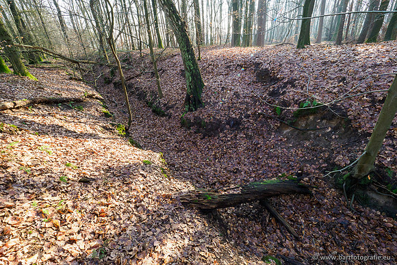 Middelste Heerdense beek 070220-113