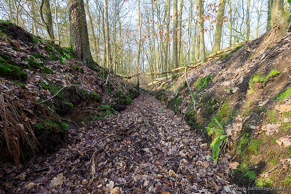 Middelste Heerdense beek 070220-114