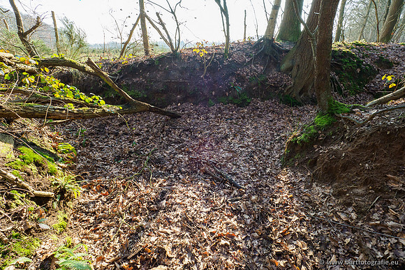 Middelste Heerdense beek 070220-115