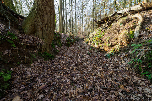Middelste Heerdense beek 070220-116