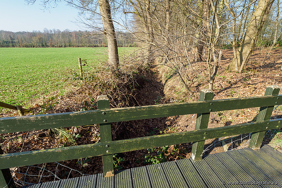 Middelste Heerdense beek 070220-117