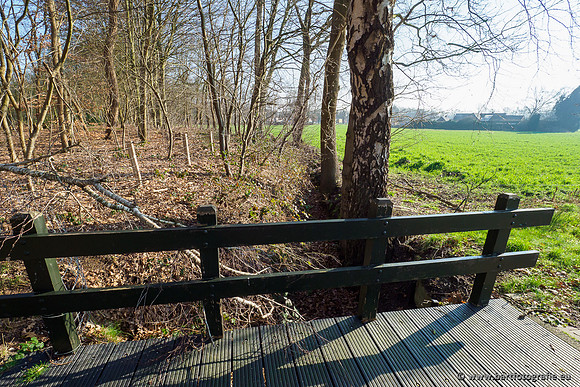 Middelste Heerdense beek 070220-118