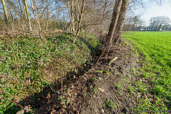Middelste Heerdense beek 070220-119