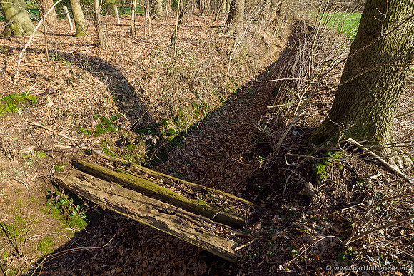 Middelste Heerdense beek 070220-121