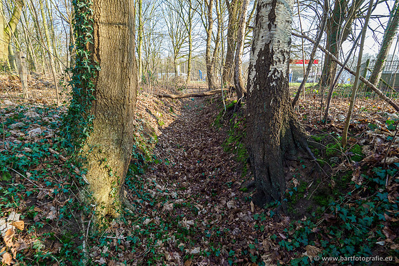 Middelste Heerdense beek 070220-123