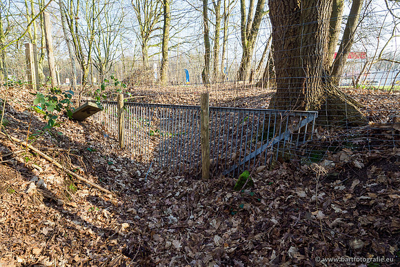 Middelste Heerdense beek 070220-124