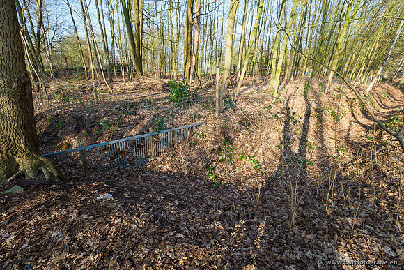 Middelste Heerdense beek 070220-125