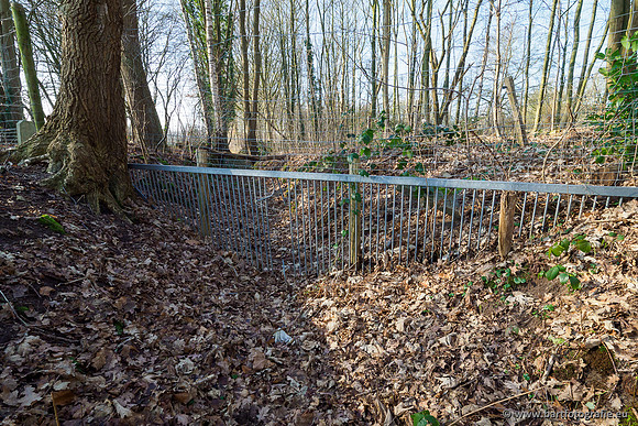 Middelste Heerdense beek 070220-126