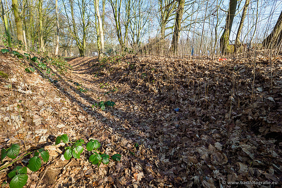 Middelste Heerdense beek 070220-127