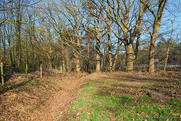 Middelste Heerdense beek 070220-129