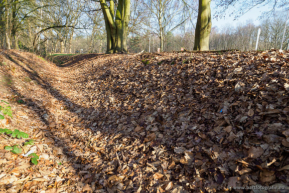 Middelste Heerdense beek 070220-128