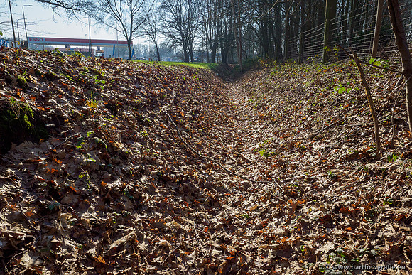 Middelste Heerdense beek 070220-131