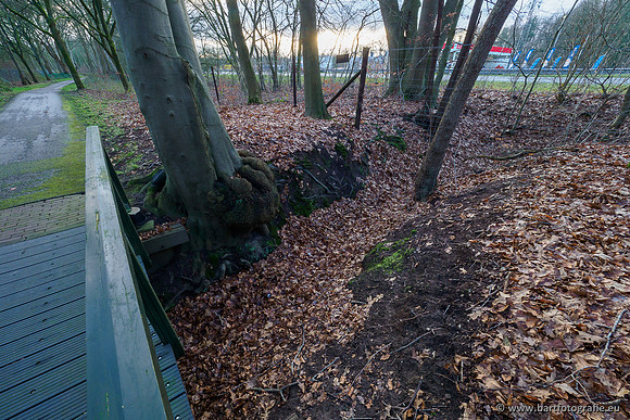 Middelste Heerdense beek 070220-135