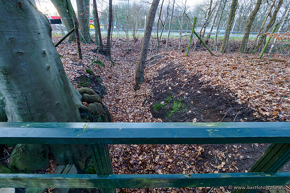Middelste Heerdense beek 070220-138