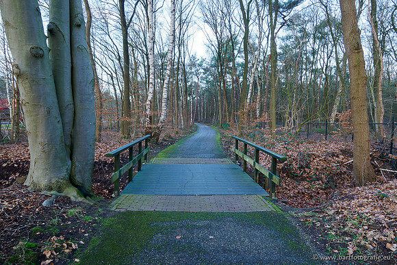 Middelste Heerdense beek 070220-139