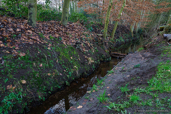 Middelste Heerdense beek 070220-143