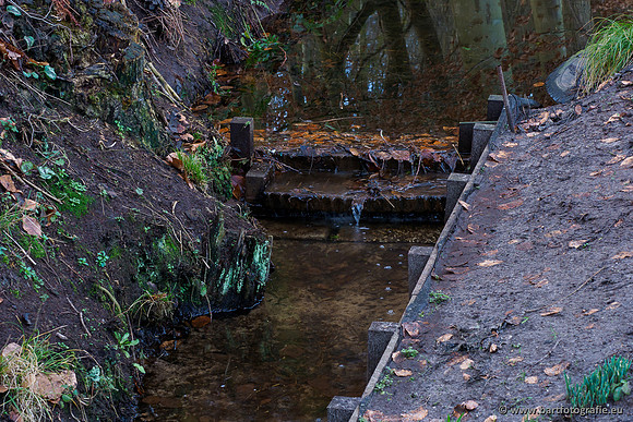 Middelste Heerdense beek 070220-144