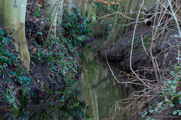 Middelste Heerdense beek 070220-145