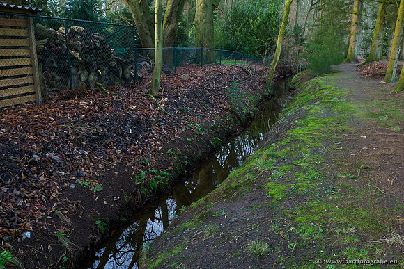 Middelste Heerdense beek 070220-146