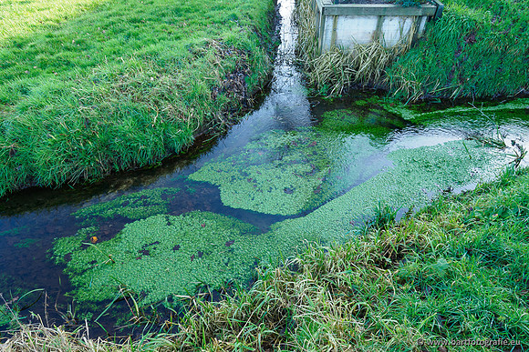 Middelste Heerdense beek 070220-153