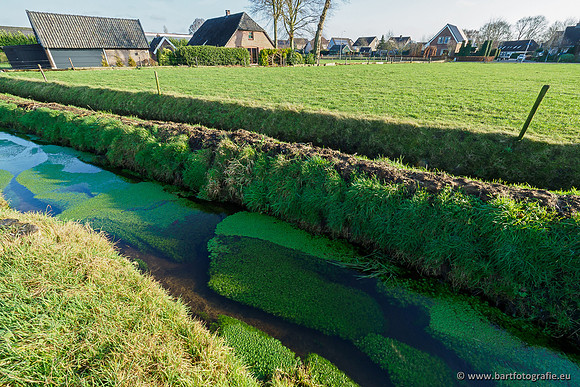 Middelste Heerdense beek 070220-165