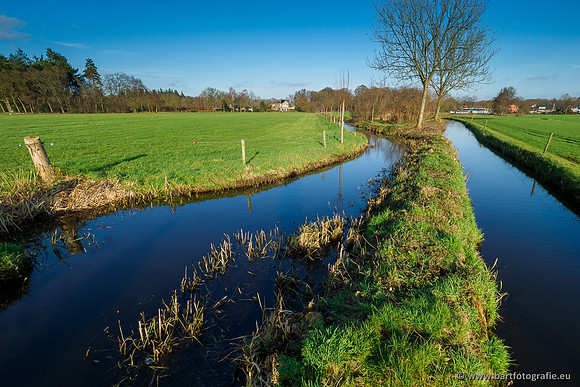 Middelste Heerdense beek 070220-177