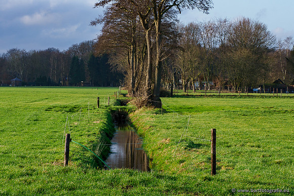 Middelste Heerdense beek 070220-181