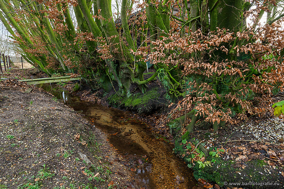 Middelste Heerdense beek 070220-184