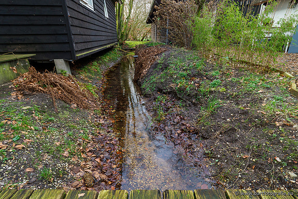 Middelste Heerdense beek 070220-186