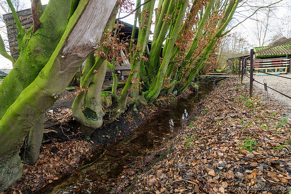 Middelste Heerdense beek 070220-188